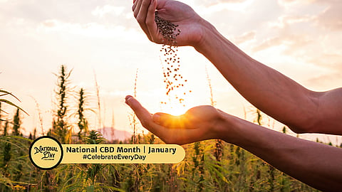 National CBD Month | January