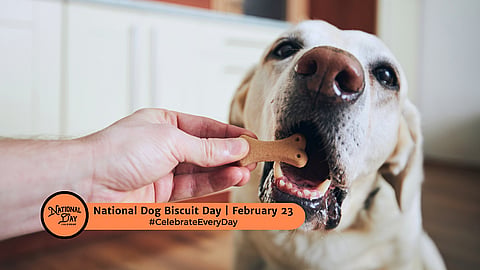 NATIONAL DOG BISCUIT DAY - February 23 