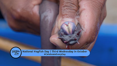 National Hagfish DAy