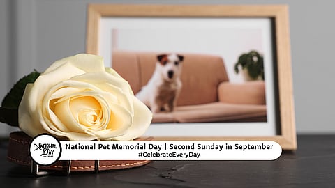 NATIONAL PET MEMORIAL DAY  Second Sunday in September
