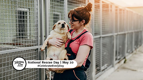 NATIONAL RESCUE DOG DAY  May 20