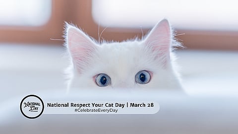 NATIONAL RESPECT YOUR CAT DAY | March 28