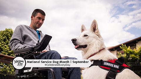 NATIONAL SERVICE DOG MONTH | September