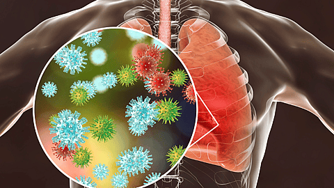 World Pneumonia Day