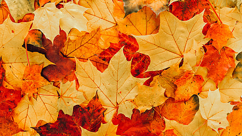 AUTUMNAL EQUINOX  Changes Annually
