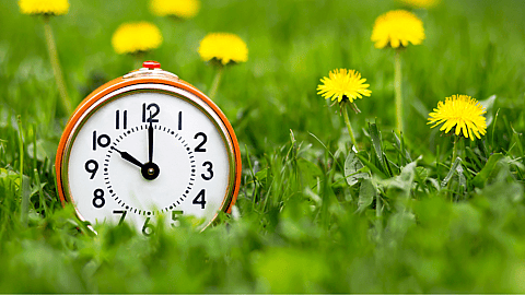 DAYLIGHT SAVING TIME  Second Sunday in March