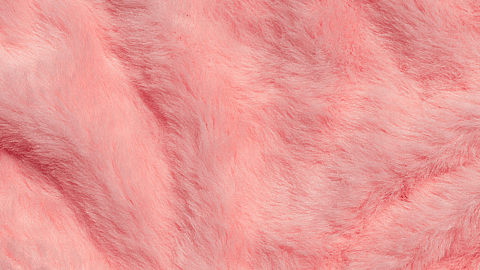 Faux Fur Day