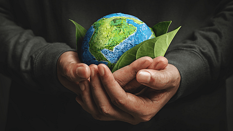 International Day for Preventing the Exploitation of the Environment in War and Armed Conflict