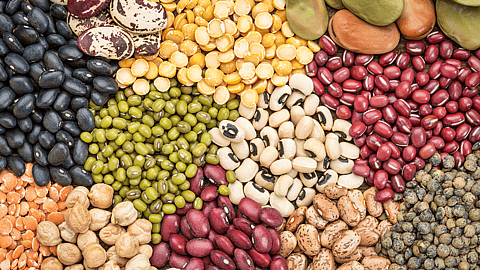 National Bean Day