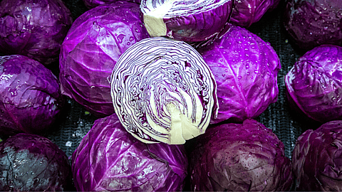 NATIONAL CABBAGE DAY - February 17 