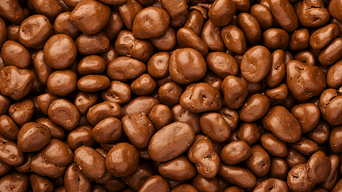 NATIONAL CHOCOLATE COVERED RAISIN DAY  March 24