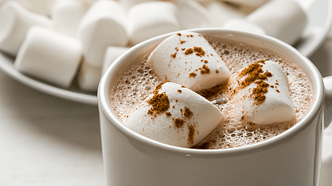 National Cocoa Day