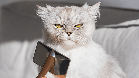 NATIONAL DO A GROUCH A FAVOR DAY - February 16 