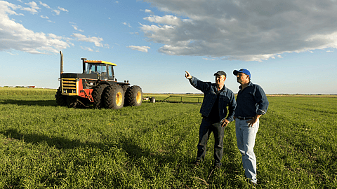 National Farmer's Day
