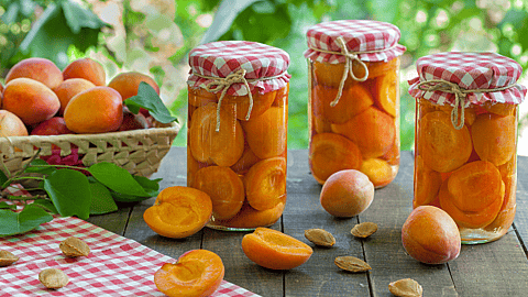 NATIONAL FRUIT COMPOTE DAY  March 1