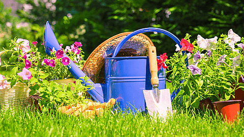 National Gardening Day | April 14