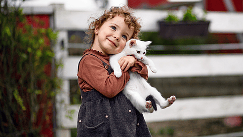 NATIONAL HUG YOUR CAT DAY  June 4