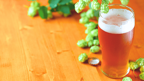 NATIONAL IPA DAY  First Thursday in August