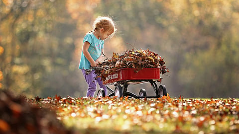 National Little Red Wagon Day | Last Wednesday in March