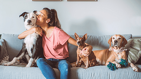 NATIONAL LOVE YOUR PET DAY - February 20 