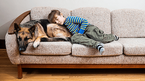 NATIONAL NAPPING DAY  Day After Return of Daylight Saving Time
