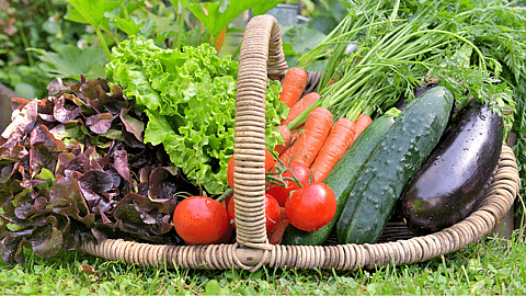 National Non-GMO Month