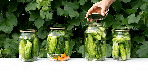 National Pickle Day