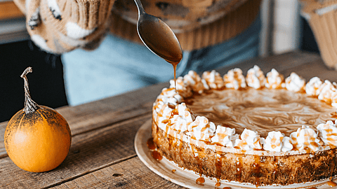 National Pumpkin Cheesecake Day