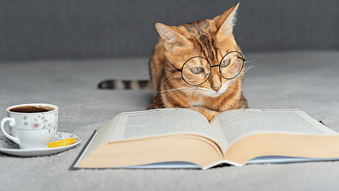 NATIONAL READ A BOOK DAY  September 6