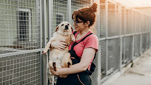 NATIONAL RESCUE DAY  May 20