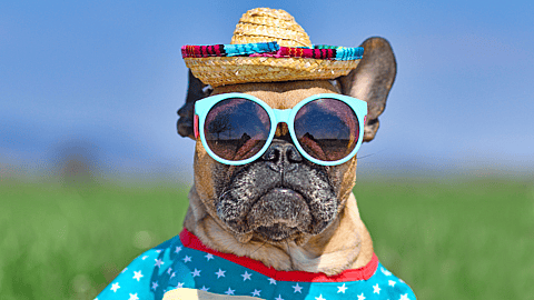 NATIONAL SUNGLASSES DAY  June 27