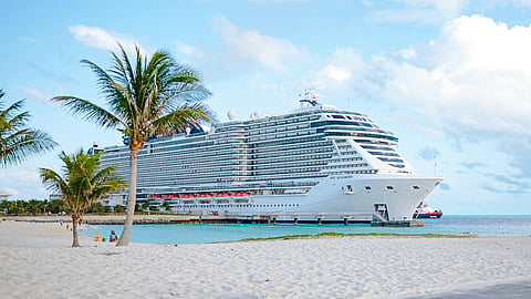 NATIONAL TAKE A CRUISE DAY | February 3