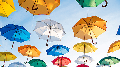 NATIONAL UMBRELLA DAY - February 10 