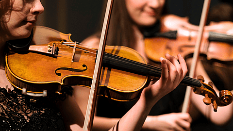 National Violin Day