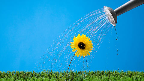 NATIONAL WATER A FLOWER DAY  May 30