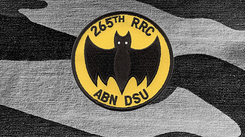 NATIONAL YELLOW BAT DAY  April 21
