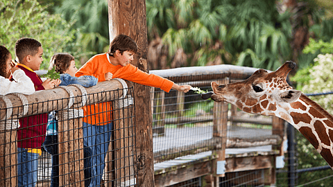 NATIONAL ZOO LOVERS DAY
