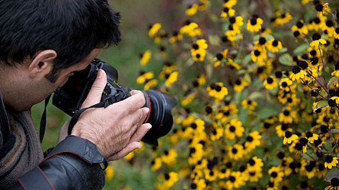 NATURE PHOTOGRAPHY DAY  June 15