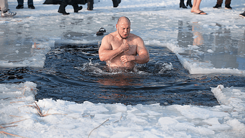 Polar Bear Plunge Day | January 1