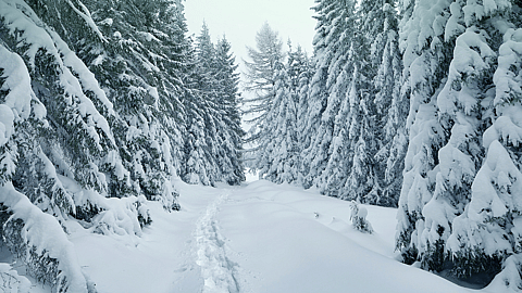 Winter Solstice