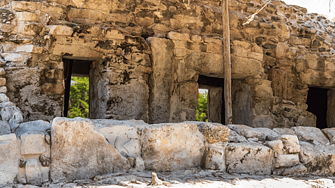 World Anthropology Day | Third Thursday in February