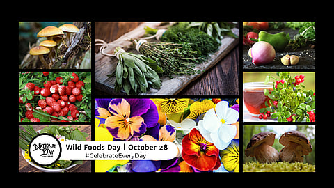WILD FOODS DAY | October 28