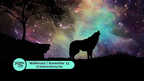 Wolfenoot