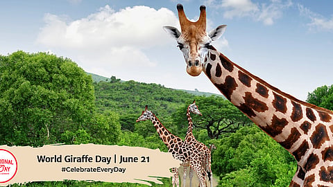 World Giraffe Day | June 21