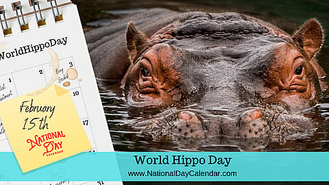 World Hippo Day - February 15