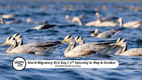 WORLD MIGRATORY BIRD DAY | Second Saturday in May and October