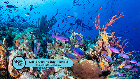WORLD OCEANS DAY | June 8