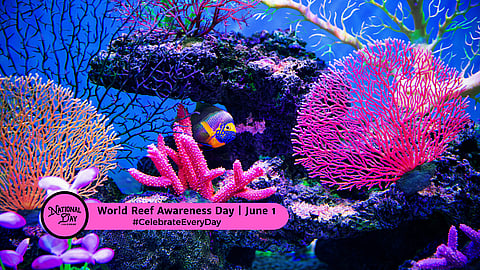 WORLD REEF AWARENESS DAY | June 1
