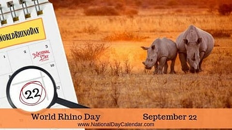 World Rhino Day - September 22
