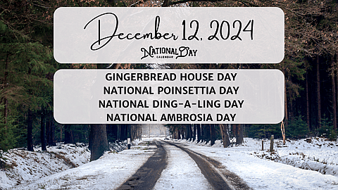 December 12, 2024